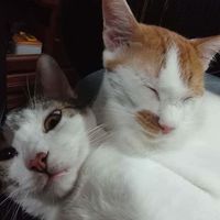 https://images.plurk.com/3ryIGMBpUl72FwEzzSpuAC.jpg