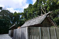 https://images.plurk.com/3s1hog4Id6bMU3p0sUaOkH.jpg