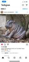 https://images.plurk.com/3s8AvwvJqtf6ddXpImMzQJ.png