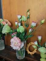 https://images.plurk.com/3sKYxEiJGlgVTfiYgjlnA4.jpg