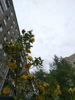 https://images.plurk.com/3sL0HmEw9Y987QJaoqAR43.jpg