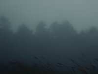 https://images.plurk.com/3sNc9O4ItmSWSMMvBU6vBa.jpg
