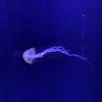https://images.plurk.com/3sWRraQO1QyO4JuodNZBwv.jpg