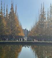 https://images.plurk.com/3sdKUj5gJGgdLXiOVN0CXO.jpg