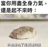 https://images.plurk.com/3shw1GoQs25fOnv92f7Aoq.jpg