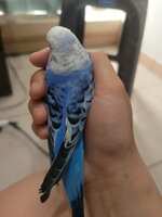 https://images.plurk.com/3skAACzc2LPoCznribnGa8.jpg