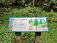 https://images.plurk.com/3spcXwXNLYDcxJtadIyzr3.jpg