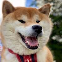 https://images.plurk.com/3t1hZrzXmyfBk32JjEvJuO.jpg