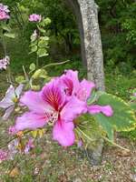 https://images.plurk.com/3t68dOT0UejSkPTwX0WqtY.jpg