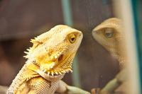 https://images.plurk.com/3tFyCSvefUu7DDJrknK4PI.jpg
