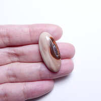 https://images.plurk.com/3tHBIOFoeFq4TwfY7jvuiQ.jpg