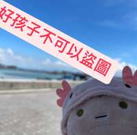 https://images.plurk.com/3tJX3YE2LatpBDWn8lhekx.jpg