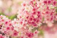 https://images.plurk.com/3tTYNAwij7Jh1F3rj06y9F.png