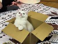 https://images.plurk.com/3tZicUwPw60sHRtbEfYASX.jpg