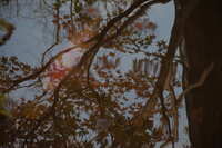 https://images.plurk.com/3tbCEJsgFUvRponXlhry4p.jpg