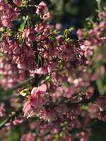 https://images.plurk.com/3tcj9kUKbgBBNSnKBgyPxD.jpg