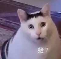 https://images.plurk.com/3tjaMot0AsZZQ68d6UqXRq.jpg