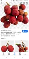 https://images.plurk.com/3tk42CPIWXaEEGrhhB4JA4.png