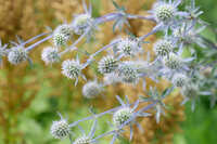 https://images.plurk.com/3tkd0U2T8JZ3V1NibmQofe.jpg