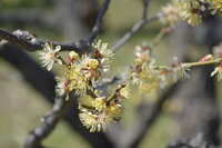 https://images.plurk.com/3u11WCwZ9NfCX05DTfsOMN.jpg