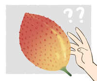 https://images.plurk.com/3u1Qxa0uxySd7rkoopv4Jd.jpg