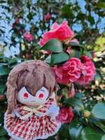 https://images.plurk.com/3u6Uq4B8Kl9rxCA4O8St11.jpg
