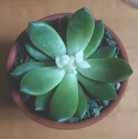 https://images.plurk.com/3uB6o4yWrfcylixes0wcpp.jpg