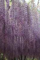 https://images.plurk.com/3uEd7AWApJNJJr1ilHYDur.jpg