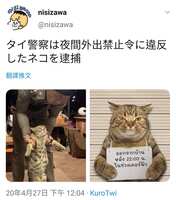 https://images.plurk.com/3uFsiQXinNm9NTzQjVS3aX.jpg