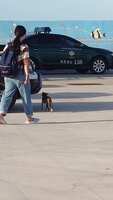 https://images.plurk.com/3uS5D4J1xyC9EXhMXq0plI.jpg