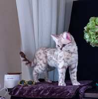 https://images.plurk.com/3usZStZmbAfYC2joPKc22T.jpg