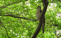 https://images.plurk.com/3uswPnrK4ubta5jtCa8qS9.jpg