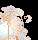 https://images.plurk.com/3v3w6Q68qcoXZ0Kv7TUjSF.gif