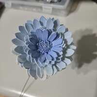 https://images.plurk.com/3vFBzWcEdwaXFsaP8iJHB3.jpg