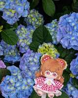 https://images.plurk.com/3vOWC9s60AneoOMr8HXAeb.jpg