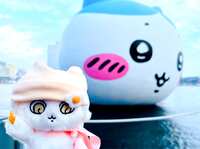 https://images.plurk.com/3vj0NQCHpxW88bQU5Ftyfh.jpg