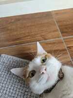https://images.plurk.com/3vnw5LQtLLuMU3Lto3aUBT.jpg