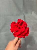 https://images.plurk.com/3vyHcbTbnEupxdZivtubK3.jpg