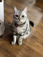 https://images.plurk.com/3vzDNu21YgV5cVNrclbuUy.jpg
