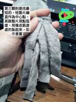 https://images.plurk.com/3w72ECneGOiyt4ym38kcU.jpg