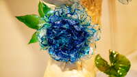 https://images.plurk.com/3w8xwzEdhrxO9jydN6layW.jpg