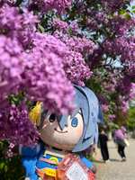 https://images.plurk.com/3wEkttUNrOOkcpCWG0REIr.jpg