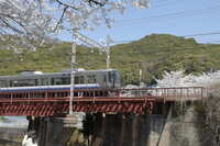 https://images.plurk.com/3wLcc2AjtIGTL59m54kIQh.jpg