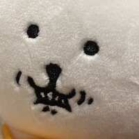 https://images.plurk.com/3wO84sWqmMi5oPAitV5pRk.jpg