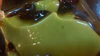 https://images.plurk.com/3wQ1CxDP4aW30hLMvwd0Rk.jpg