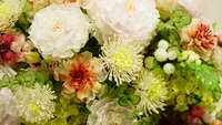 https://images.plurk.com/3wSSRq9aBx4TfUCXpuX2lz.jpg