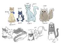 https://images.plurk.com/3wVcidNpJzBP5ylpr7oTjr.jpg
