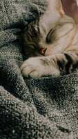 https://images.plurk.com/3wWLrWNA7MaUmO1xvE5Sug.jpg