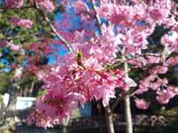 https://images.plurk.com/3wWtc7XgRNZBxjd4UtdVEh.jpg