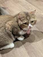 https://images.plurk.com/3wjImECjq8Hk7V287BT2hn.jpg